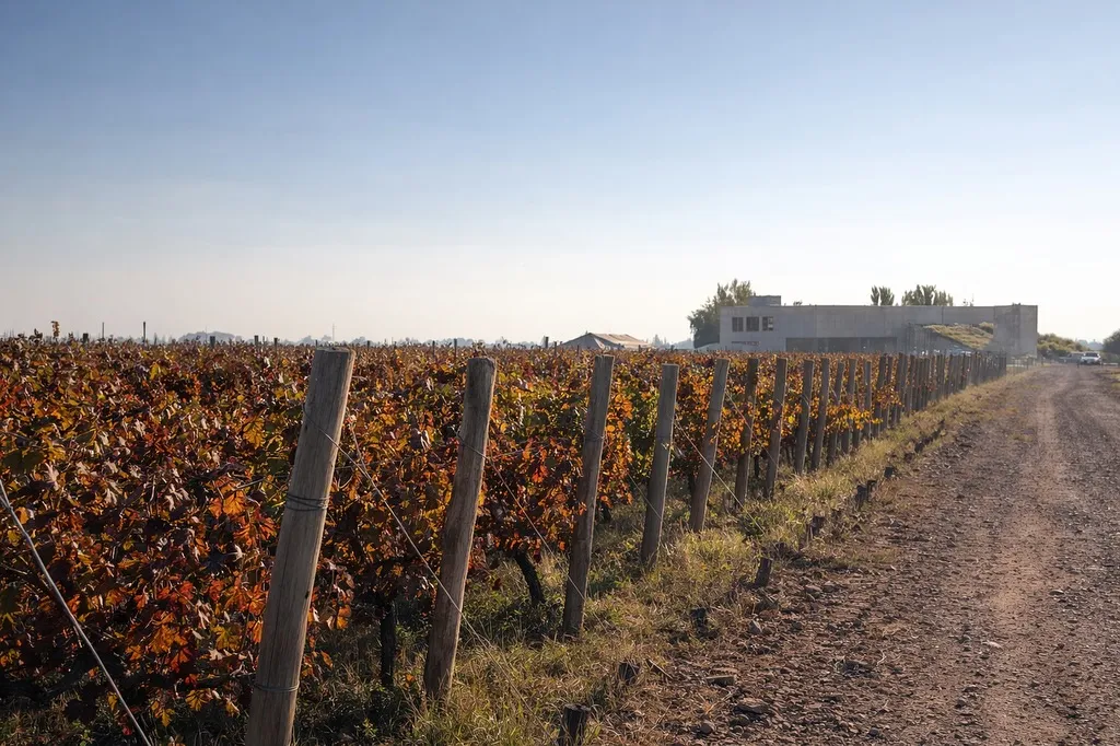 Bodega Don Manuel Villafañe