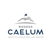 Logo de Bodega Caelum