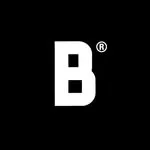 Logo de Beerlin