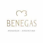 Logo de Bodega Benegas