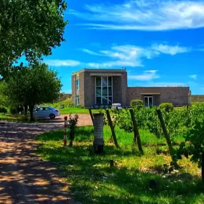 Foto de perfil de Bodega Dolium