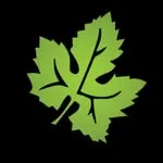 Logo de Estudio Jurídico Dr. Fabricio Fernández