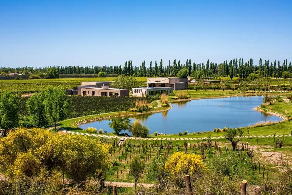 Bodega Durigutti