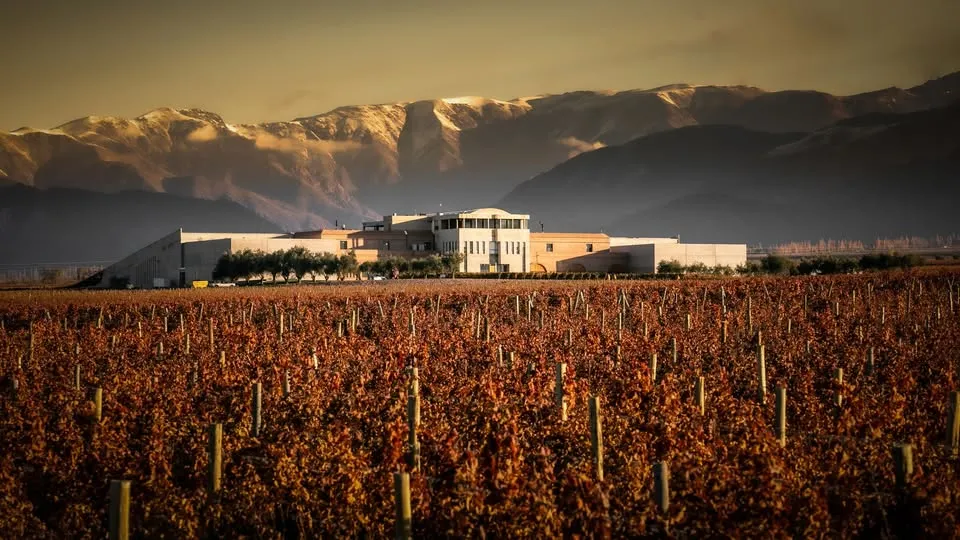 Bodega Monteviejo