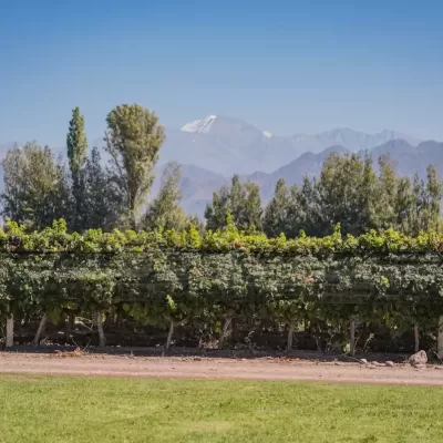 Foto de perfil de Finca La Malka