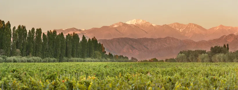 Bodega Achaval Ferrer