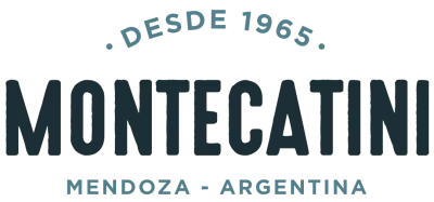 Logo de Montecatini - Centro