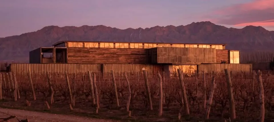 Bodega Maal Wines