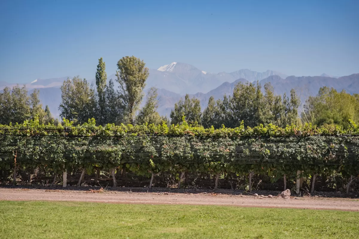 Finca La Malka