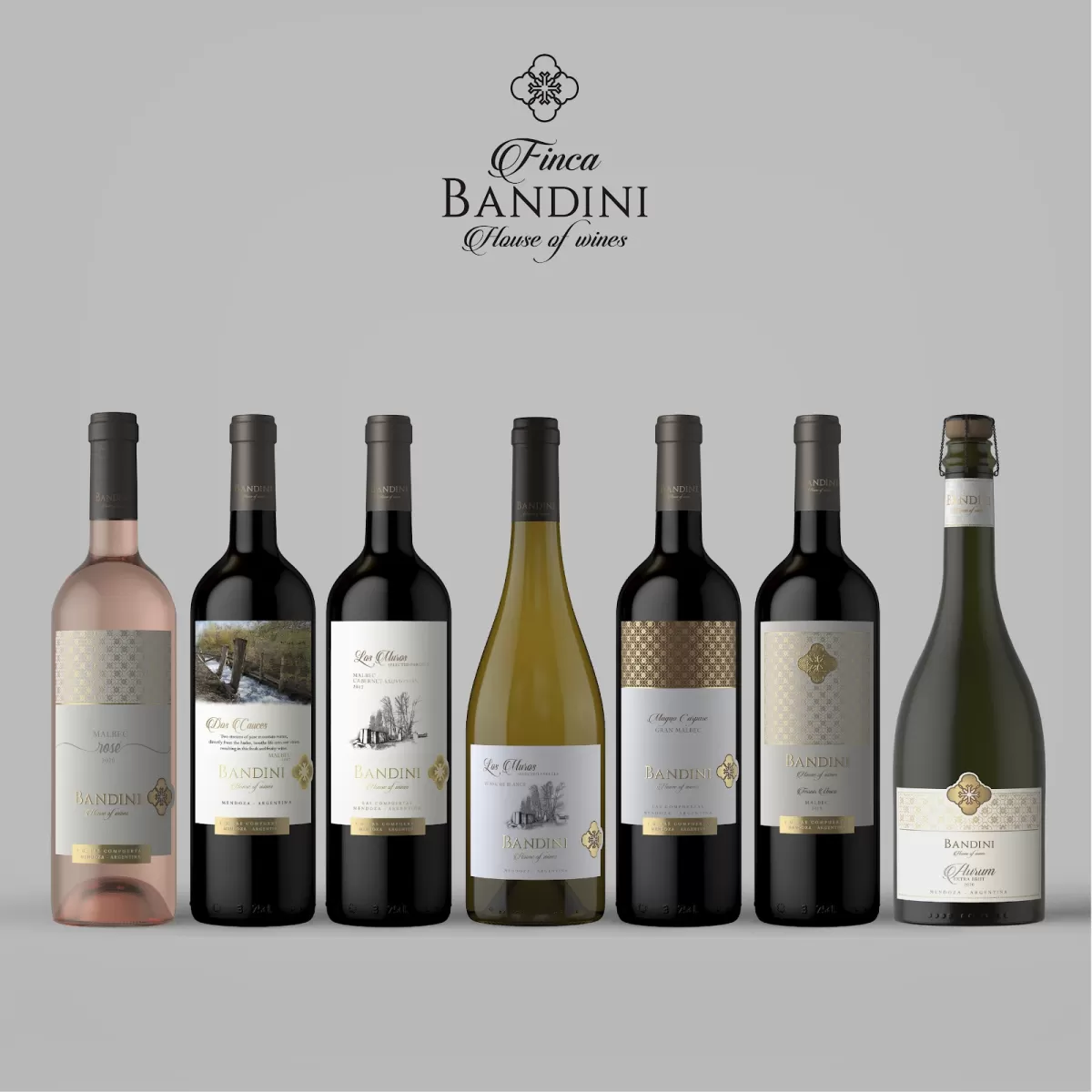 Finca Bandini