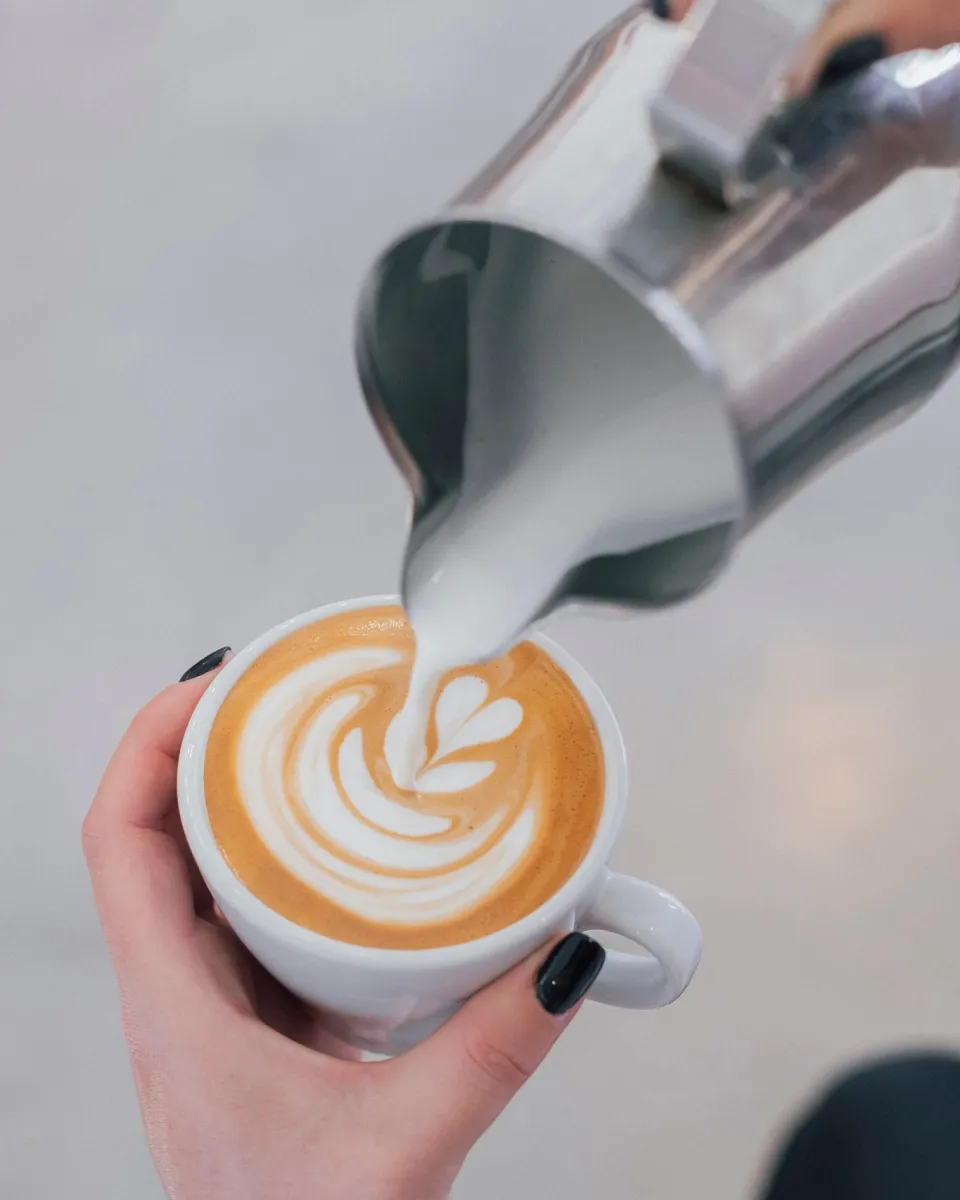 White Shark Coffee