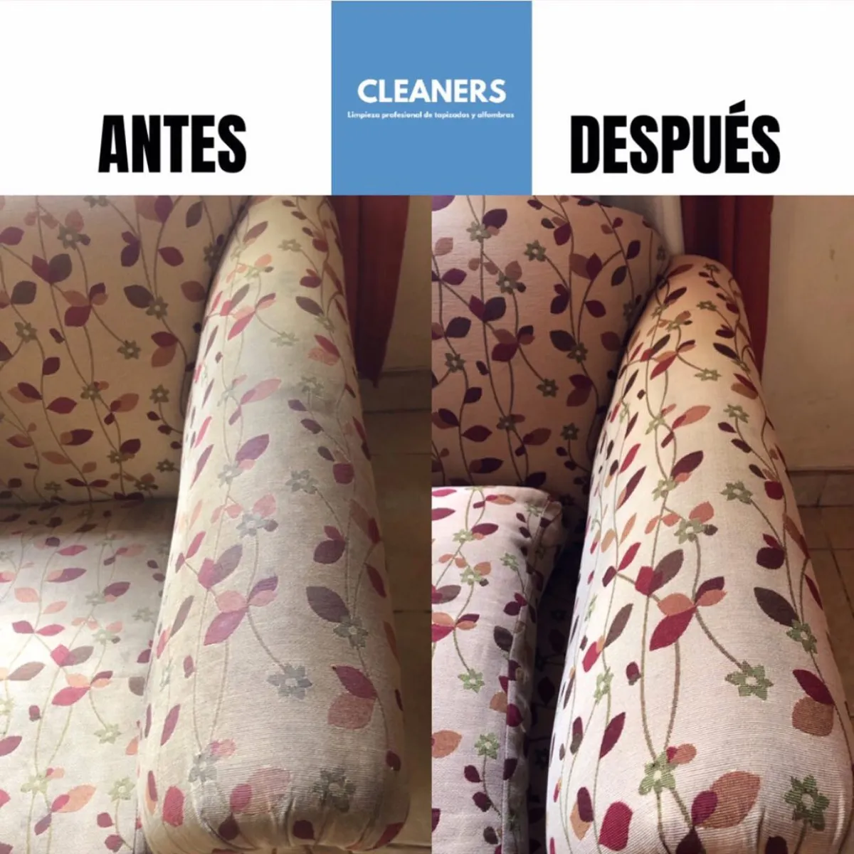 CLEANERS