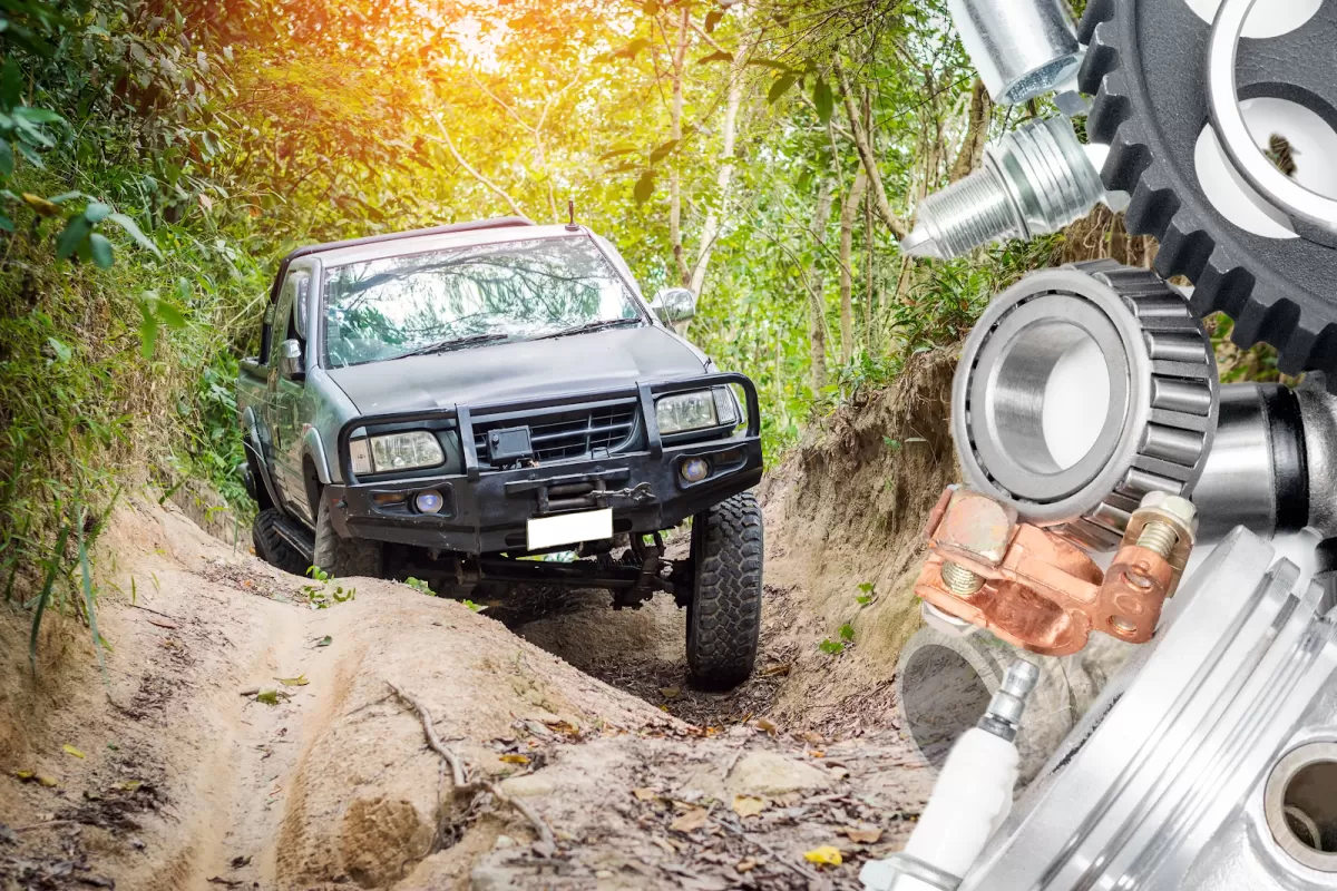 BF Equipamiento y Accesorios 4x4