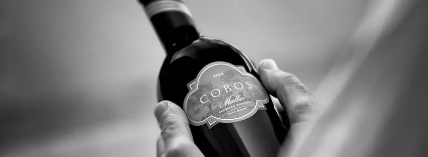Bodega Viña Cobos