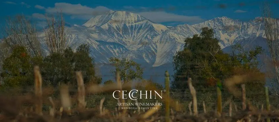 Bodega Cecchin