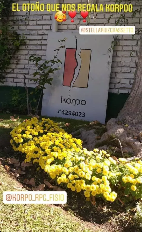Korpo Centro de Postura