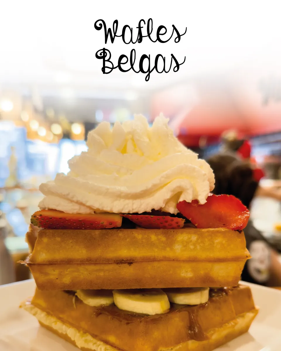 Wafles Belgas