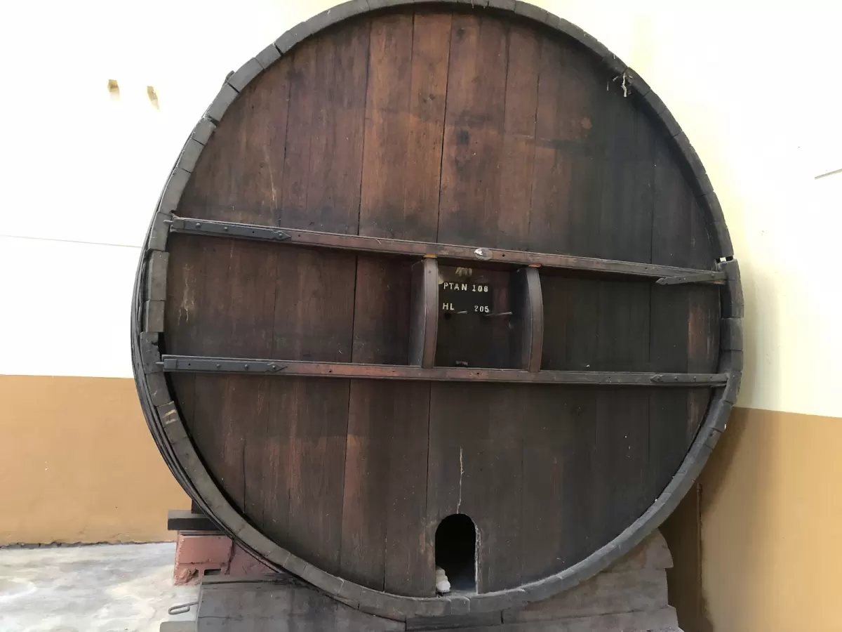 Multiespacio Cultural Bodega Faraón