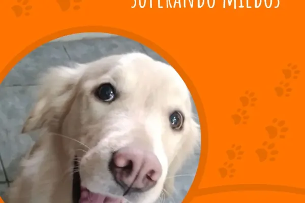 Iris Peluquería Canina