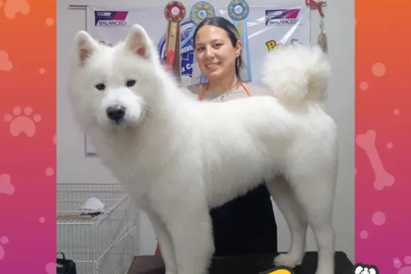 Pet Shop Pelusa