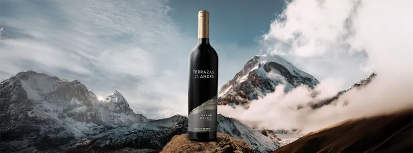 Bodega Terrazas de los Andes