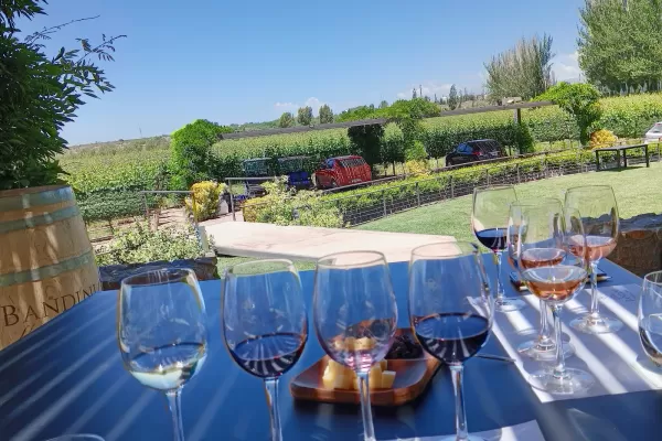 Finca Bandini