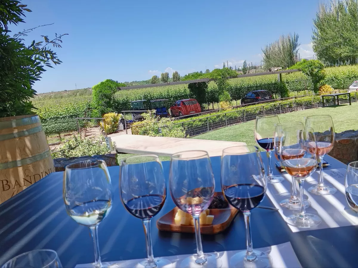Finca Bandini