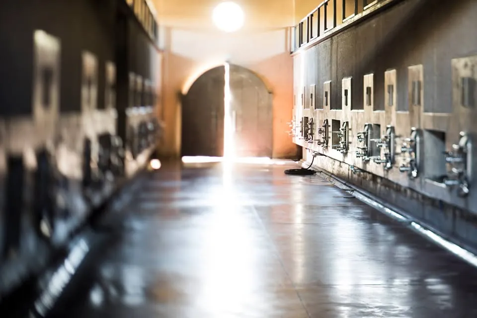 Bodega Vistalba