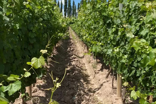 Finca La Malka