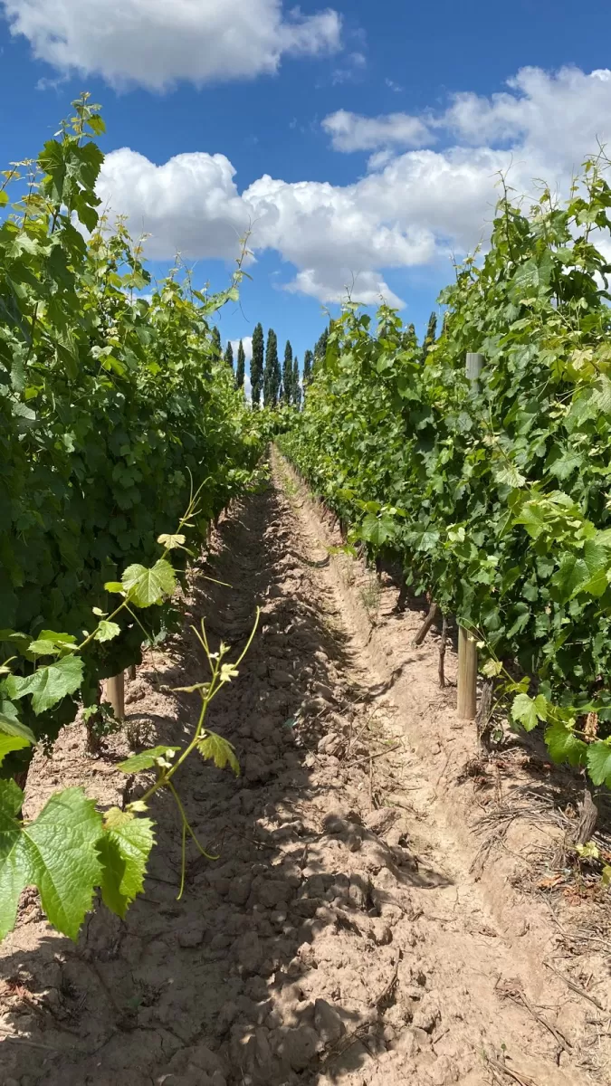 Finca La Malka