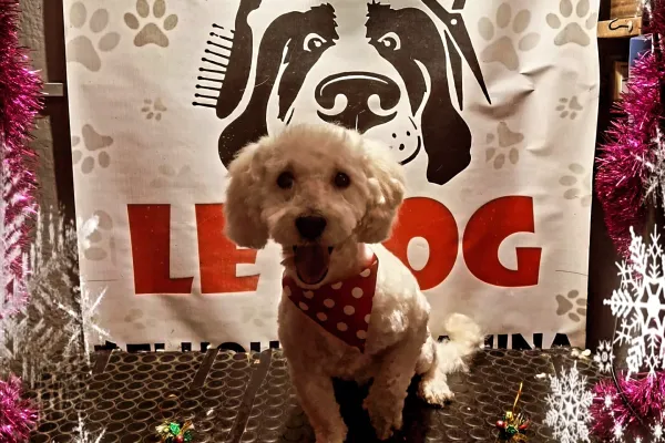 Peluquería Canina Le Dog