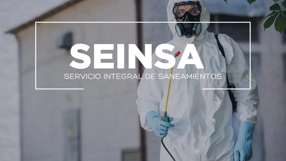 Seinsa Saneamientos