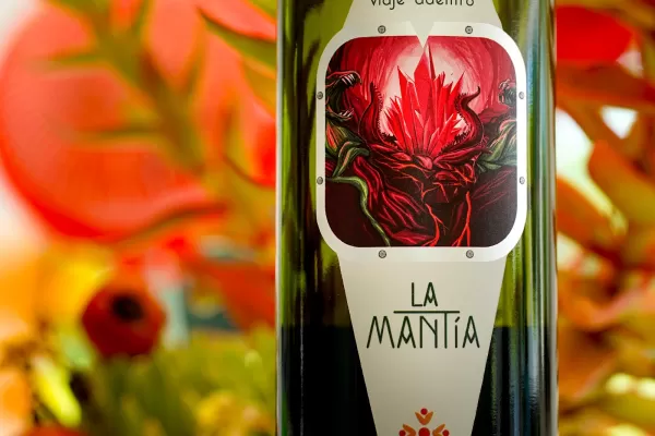 La Mantía Oliva