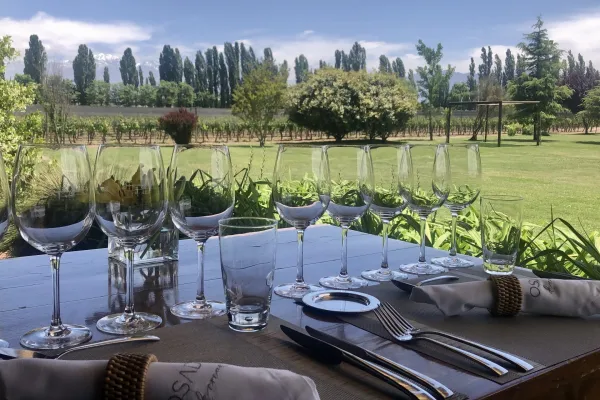 Mendoza Wine Bike Tour