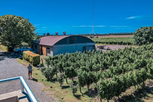 Posada Cavieres Wine Farm