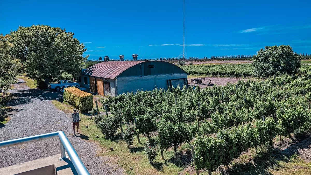 Posada Cavieres Wine Farm