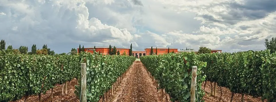Bodega Ruca Malen