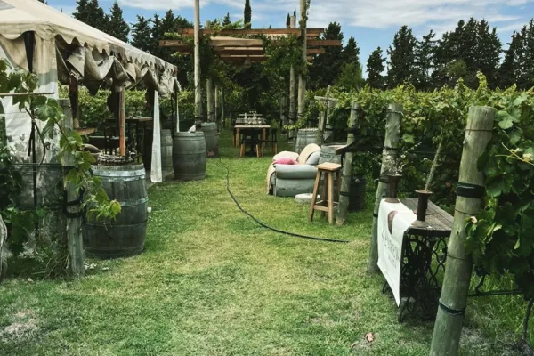 Finca Minimal