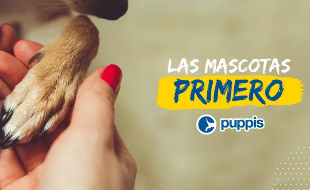 Puppis Mendoza