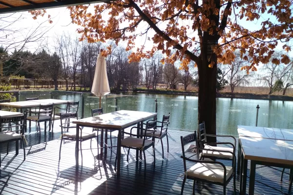 Piattelli Vineyards