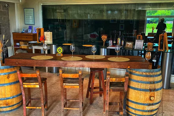 Bodega Dolium