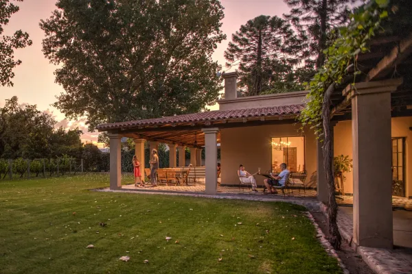 Verde Oliva
