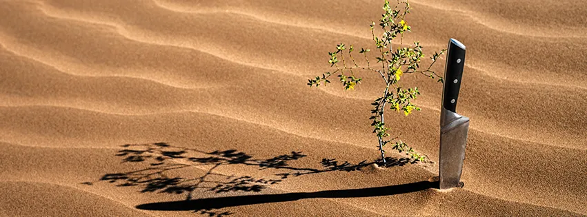 Restaurante Flor del Desierto
