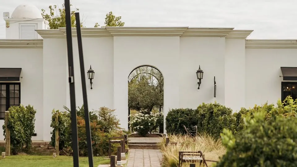 Bodega Viamonte