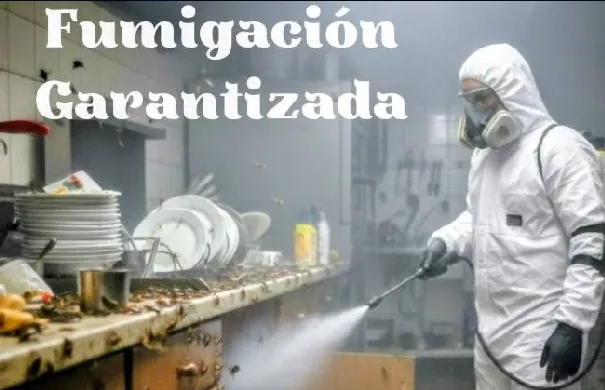 J - 41 Saneamientos