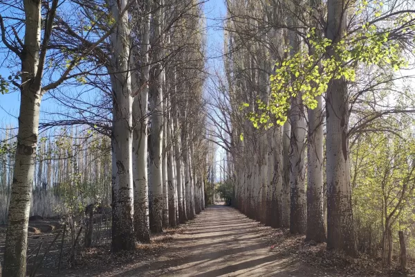 Dirección de Turismo Malargüe