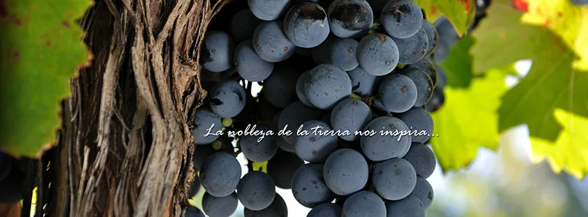 Bodega Argana