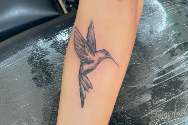 Gelato Tattoo Art