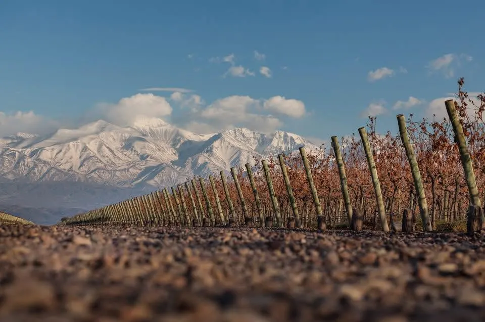 Bodega Finca Decero