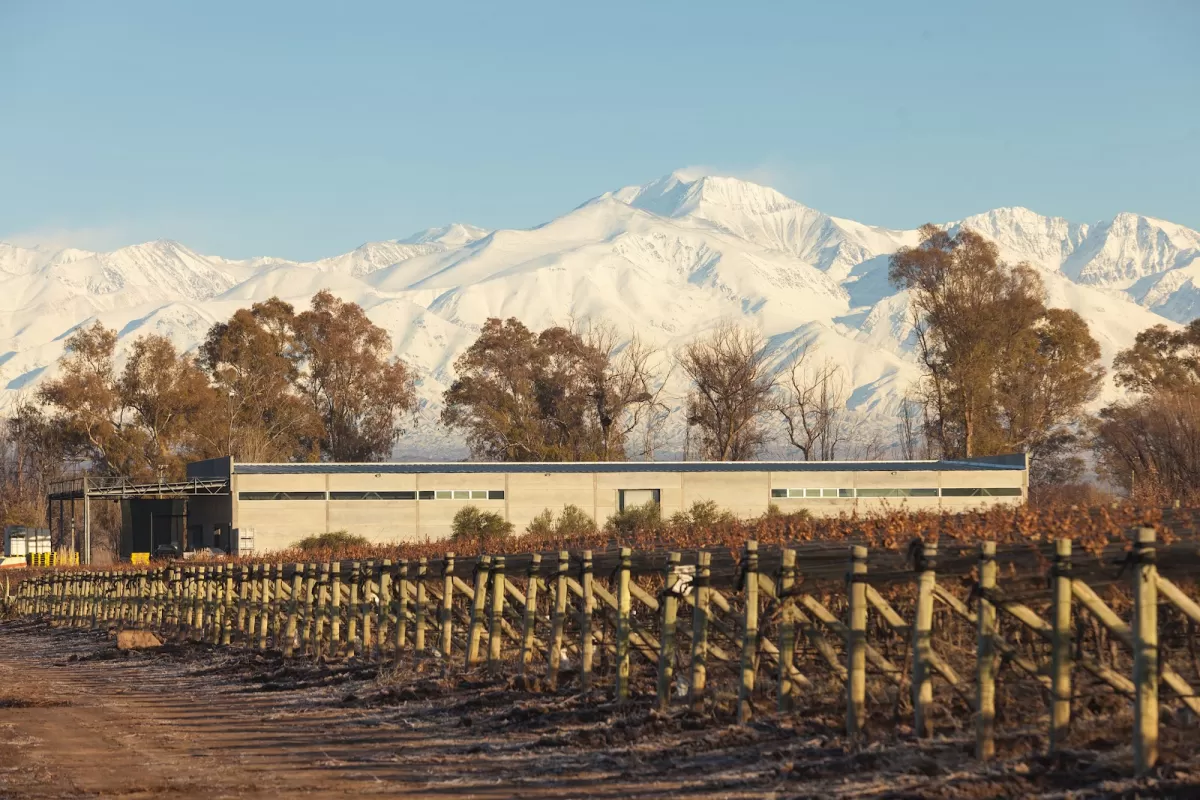 Huarpe Riglos Family Wines